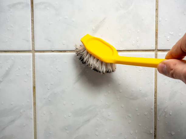 Best Professional Mold Removal  in Sedgwick, KS