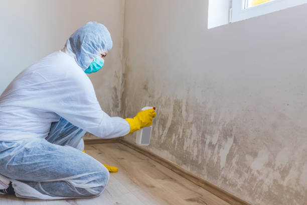 Crawl Space Mold Removal in Sedgwick, KS