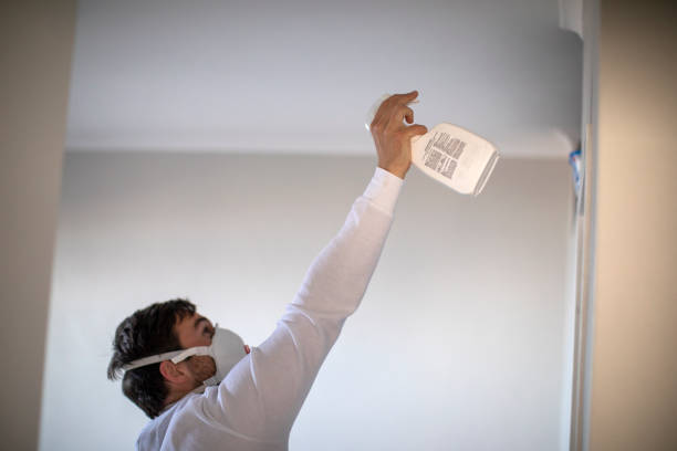 Best Local Mold Removal Service  in Sedgwick, KS