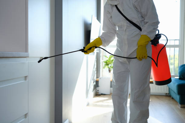 Best Local Mold Removal Service  in Sedgwick, KS